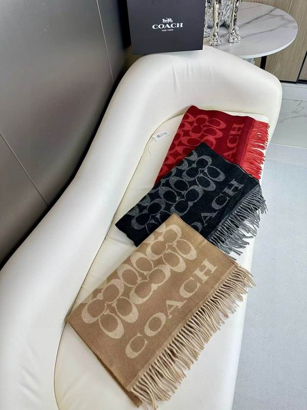 Coach scarf
